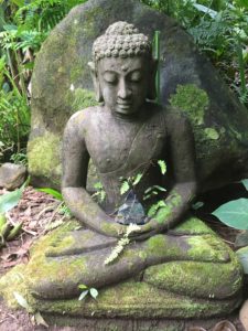 Buddha, compassion, Ayurveda, happinehealth, alternative health